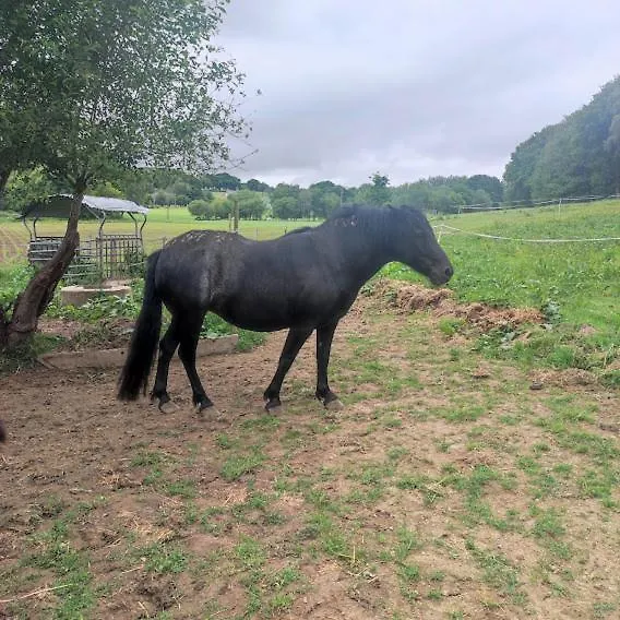 Homestay Halte Equine Apartment Plemet