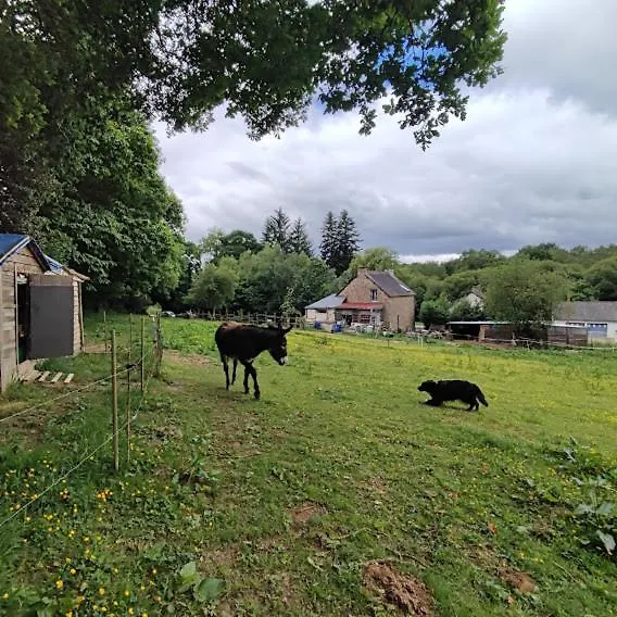 Halte Equine Apartment Plemet Homestay