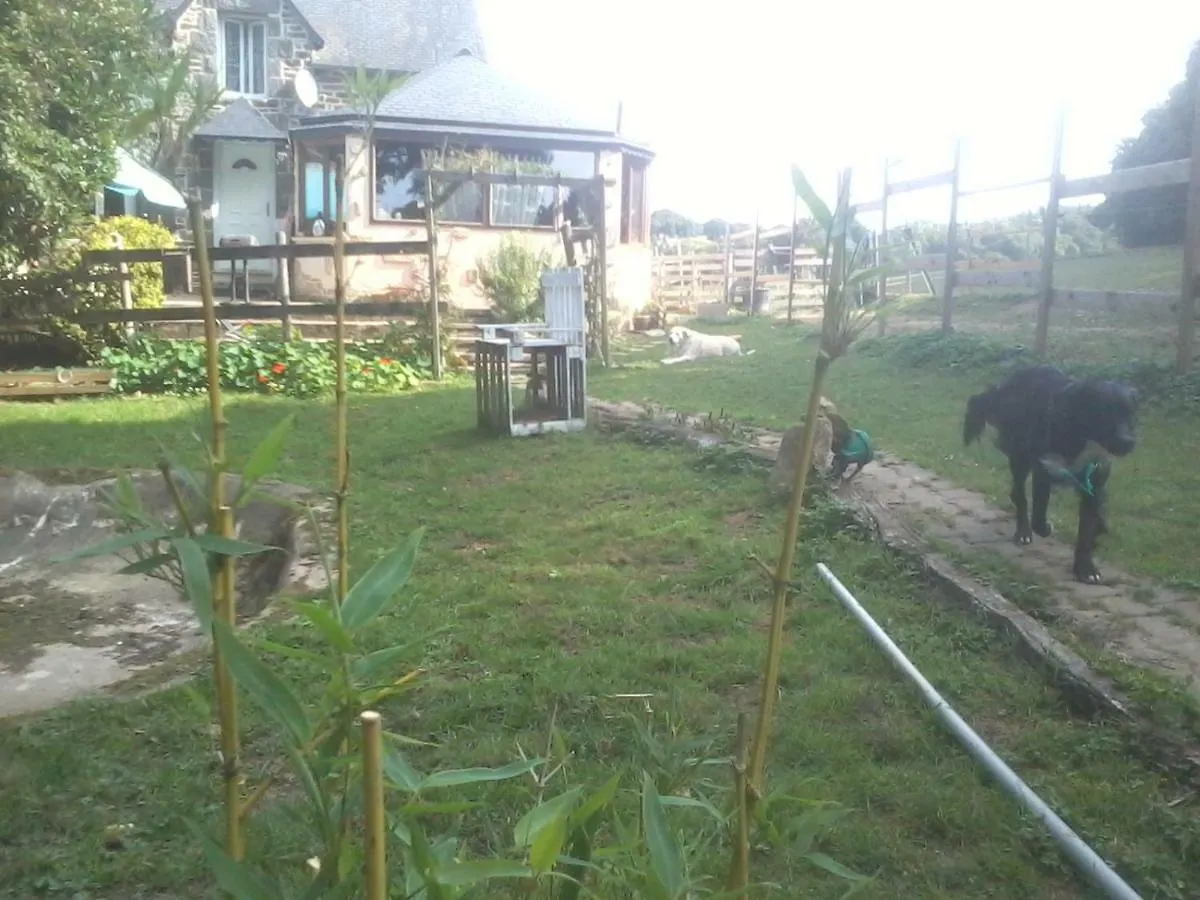 Homestay Halte Equine Apartment Plemet France