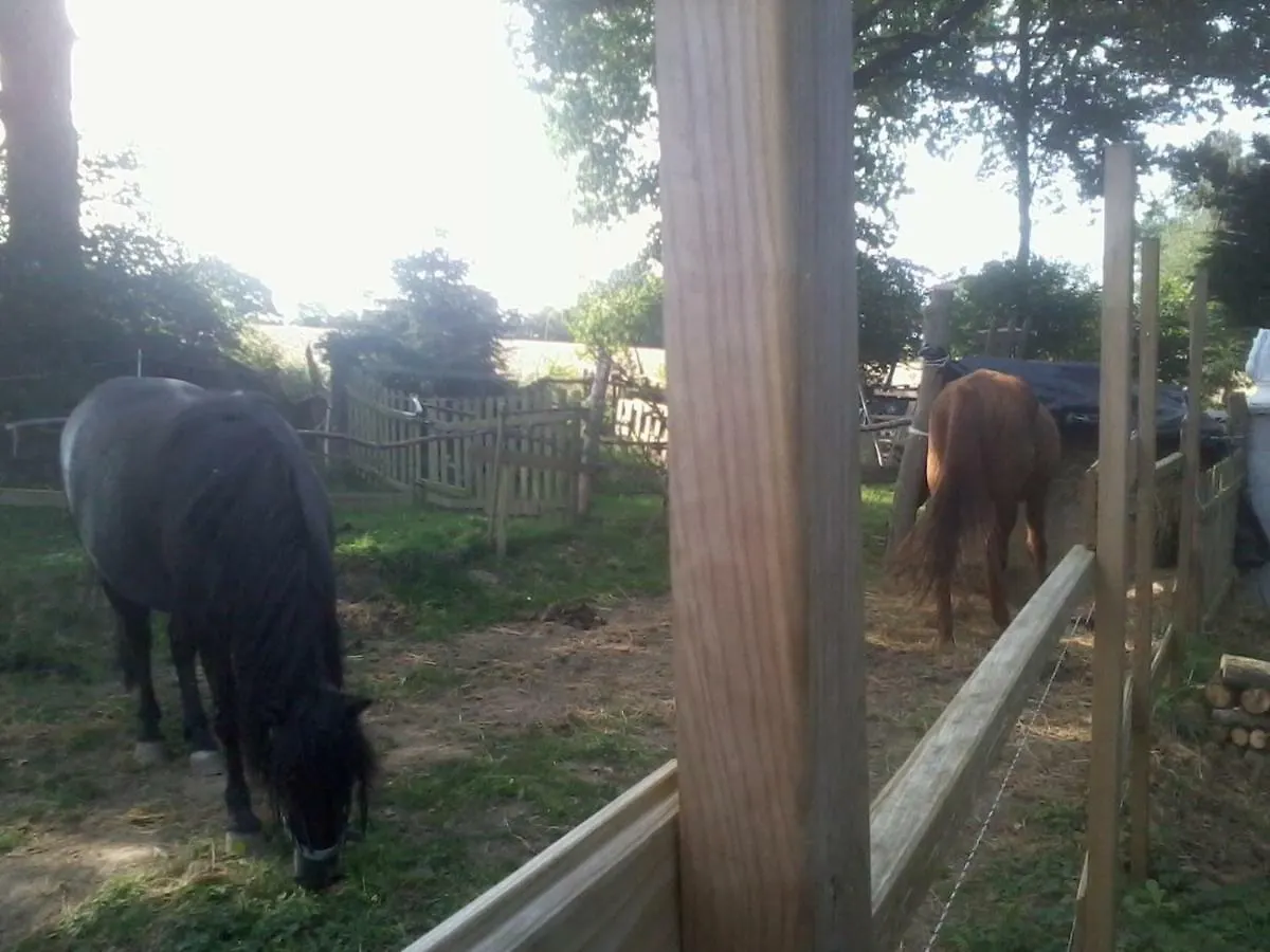 Halte Equine Apartment Plemet