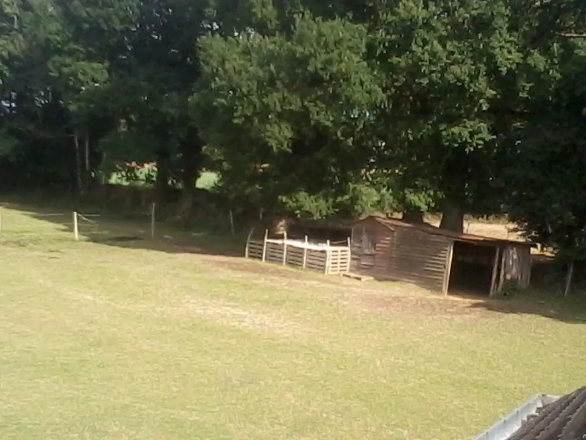 Homestay Halte Equine Apartment Plemet