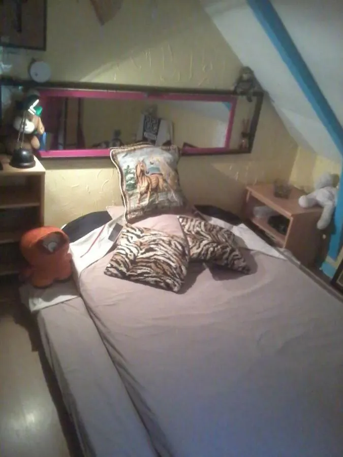 Halte Equine Apartment Plemet 0*,  France