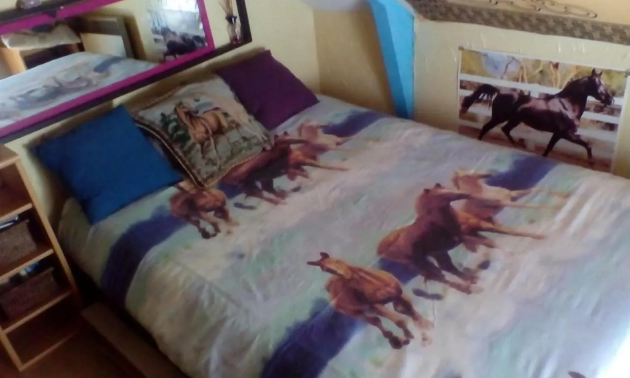 Halte Equine Apartment Plemet Homestay
