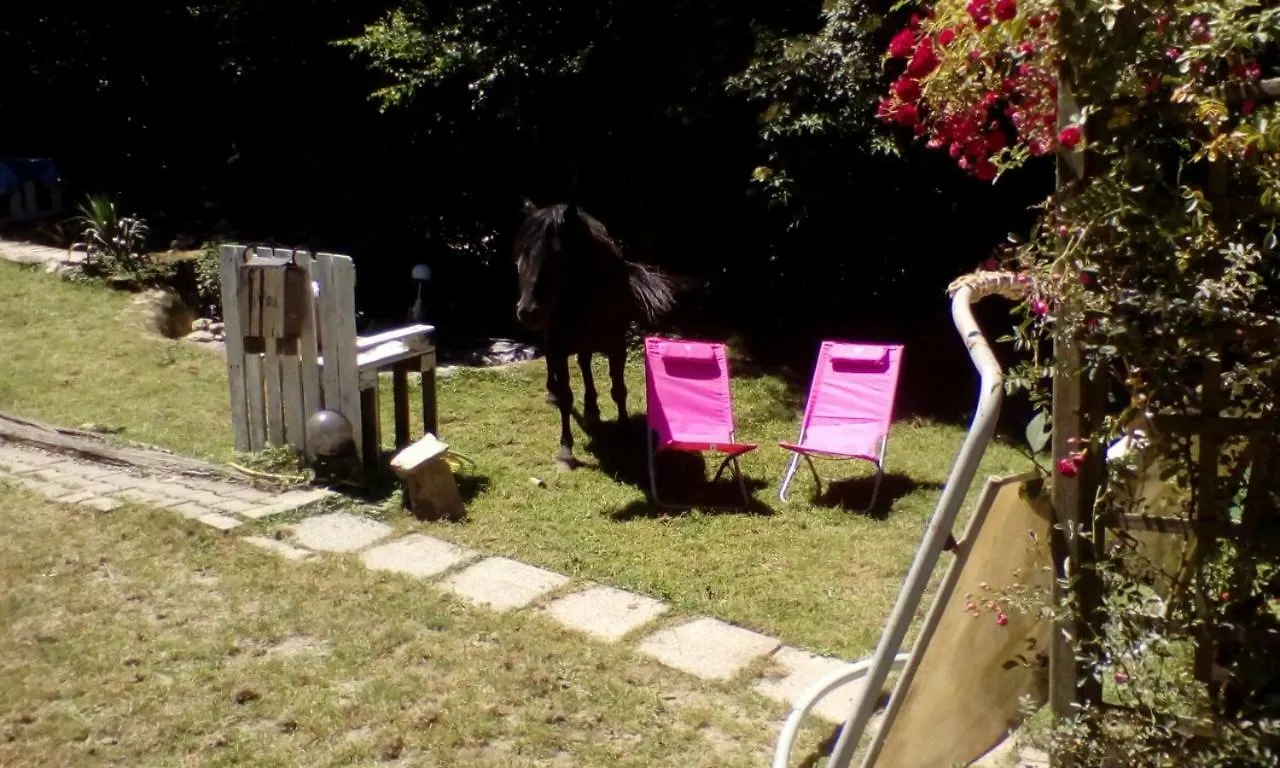 Homestay Halte Equine Apartment Plemet